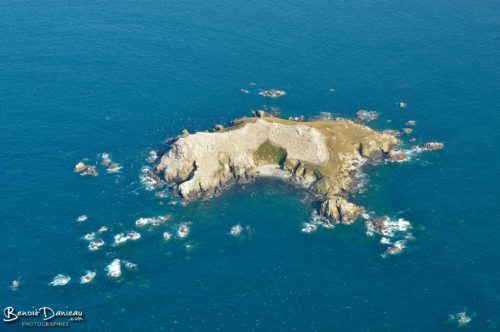l'Archipel des 7 îles en Bretagne